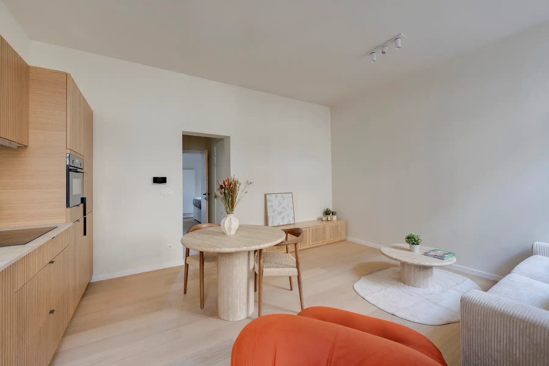 Licht en stijlvol appartement met terras in hartje Antwerpen foto 2