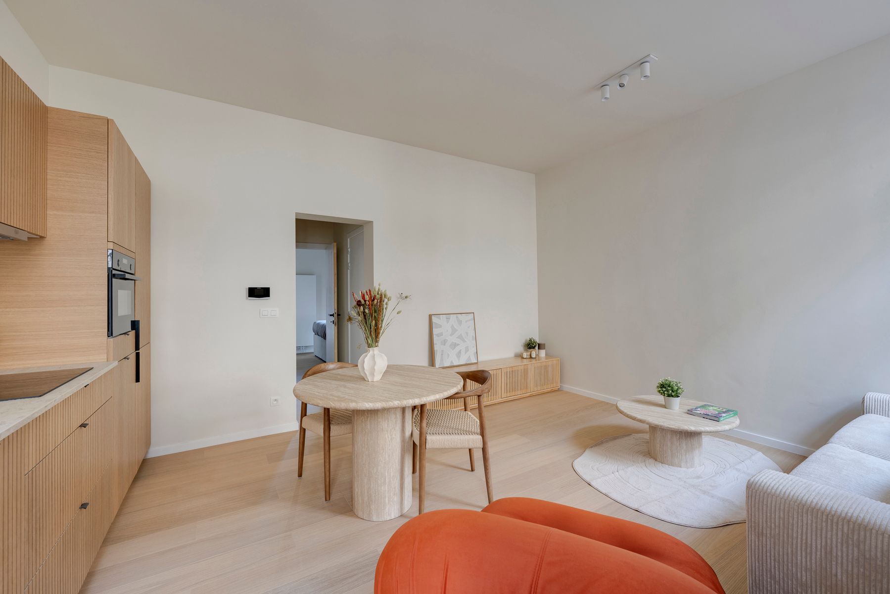 Licht en stijlvol appartement met terras in hartje Antwerpen foto 2