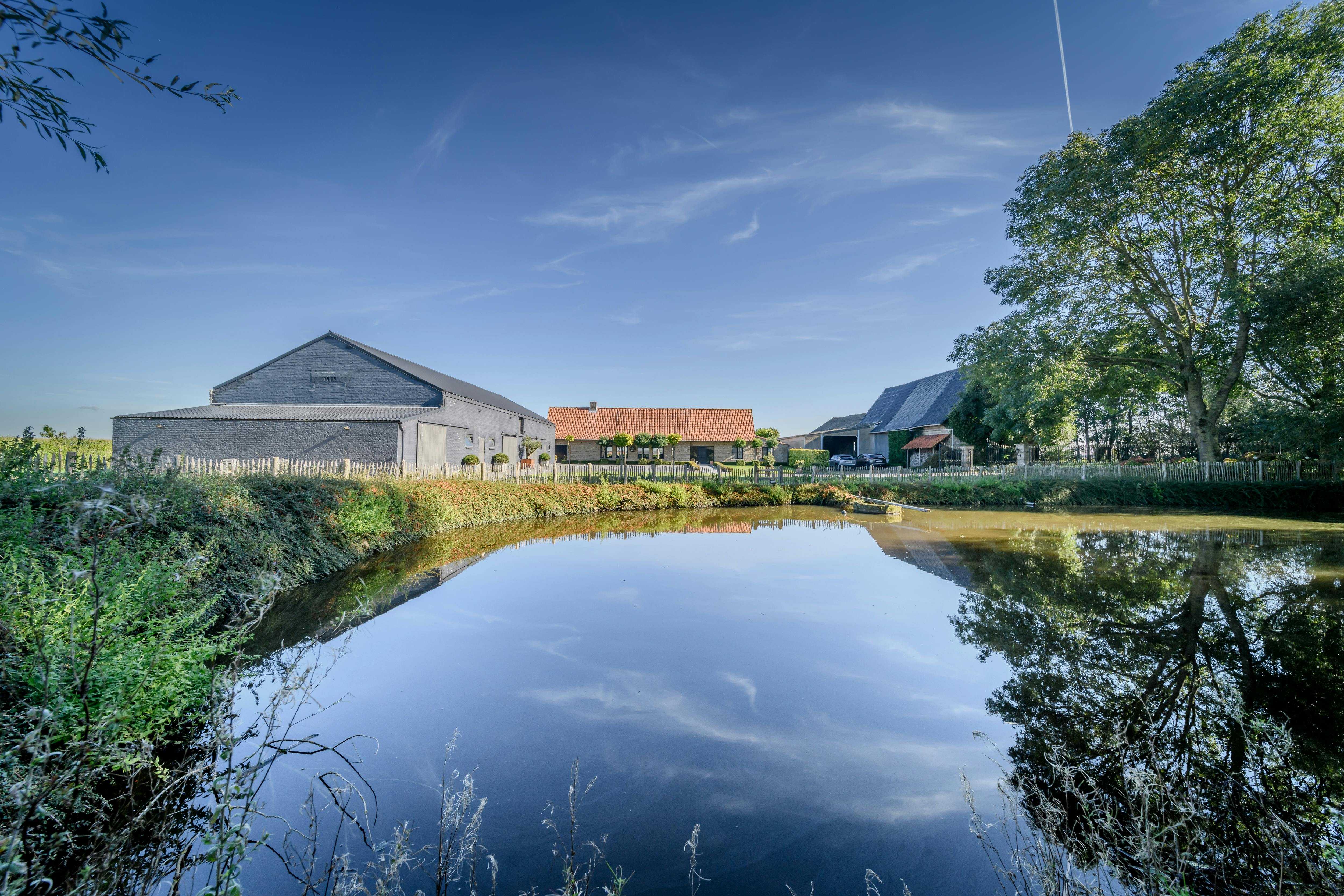 Landelijke eigendom op 9.142m² te koop in Leisele. foto 8