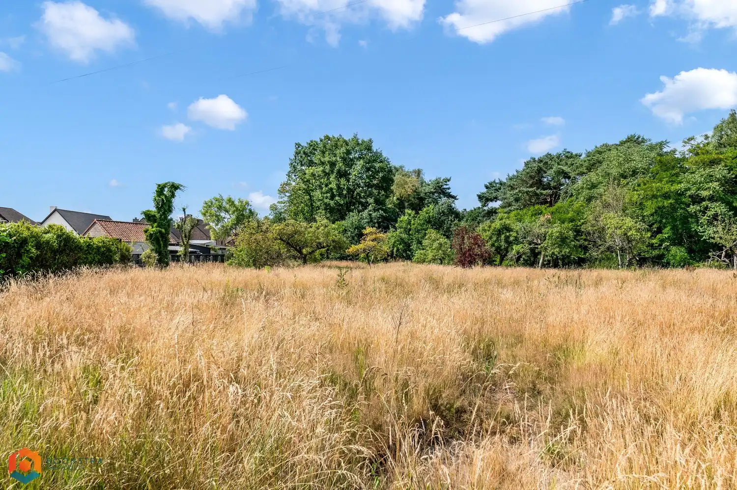 Bouwgrond van 1620 m² voor open bebouwing te Tessenderlo-Ham foto 4