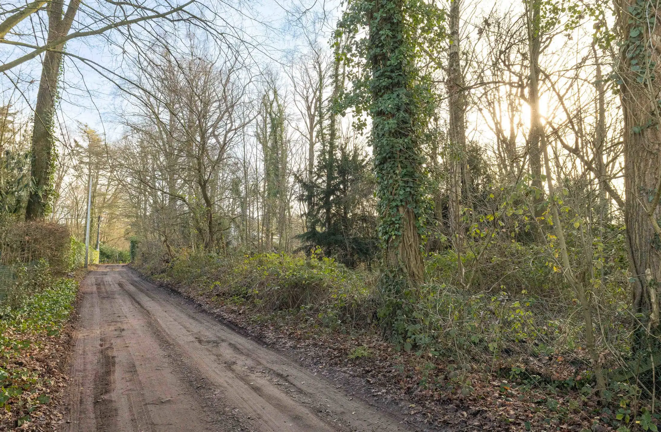 Bouwgrond - 43 are foto 3