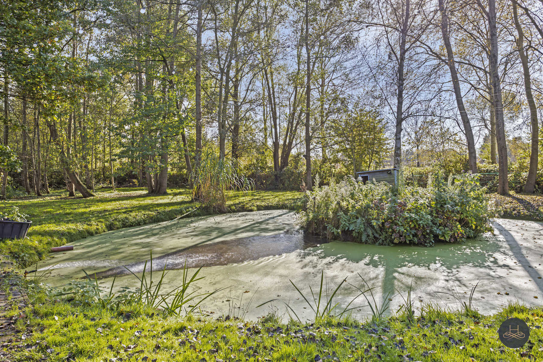 Gerenoveerde rustig gelegen historische hoeve op 45 are  foto 59