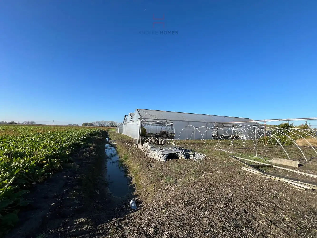 Ca.5.000 m2 serres met loods - bestemd voor agrarische doeleinden. foto 6