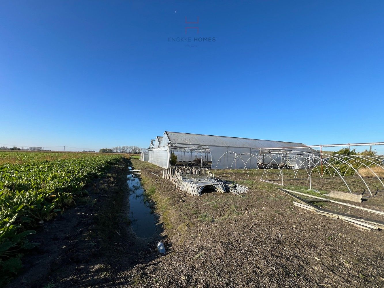 Ca.5.000 m2 serres met loods - bestemd voor agrarische doeleinden. foto 6
