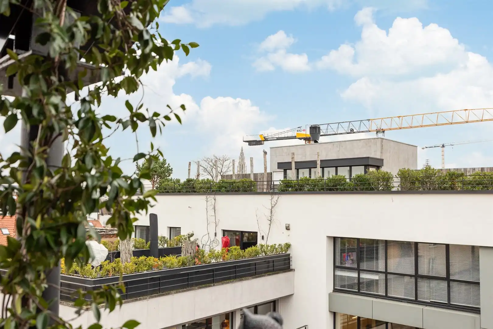Flamboyant loftleven in industrieel erfgoed foto 12