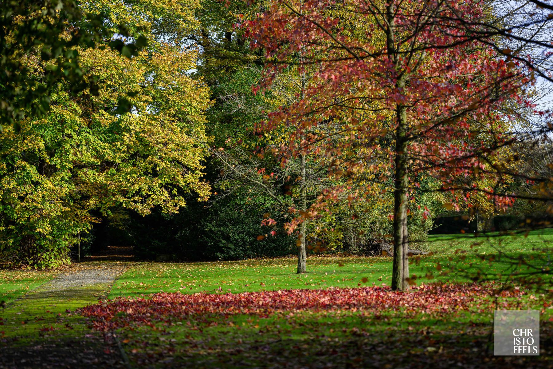 Uitzonderlijk landgoed met 11,5 ha park en 10,5 ha weilanden! foto 25