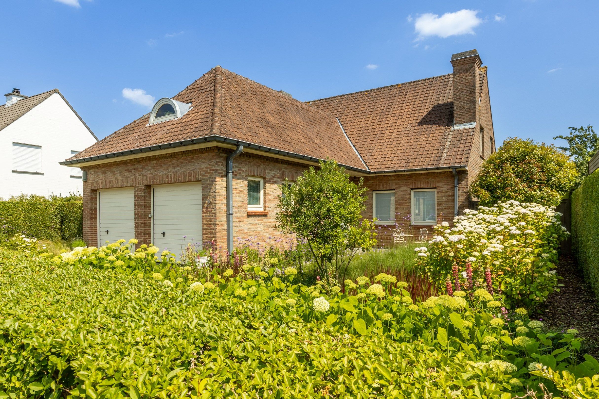 VERZORGDE PAREL MET RUIMTE foto {{pictureIndex}}