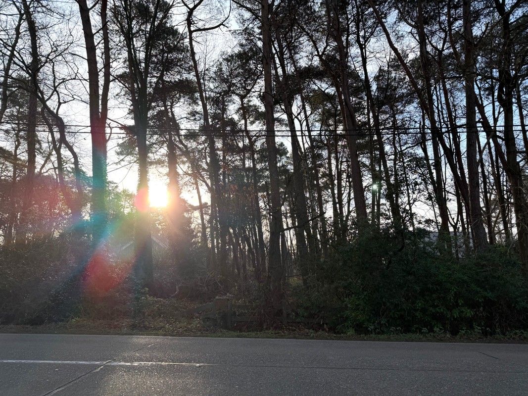 Grond te koop foto {{pictureIndex}}