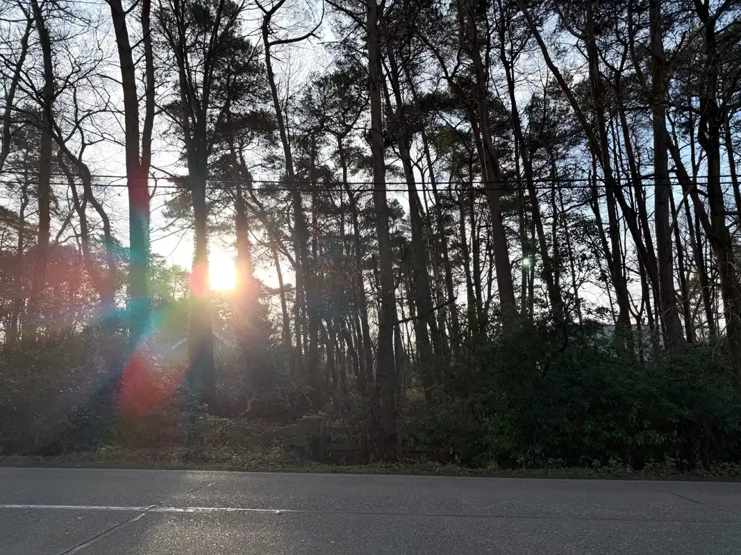 Grond te koop foto {{pictureIndex}}