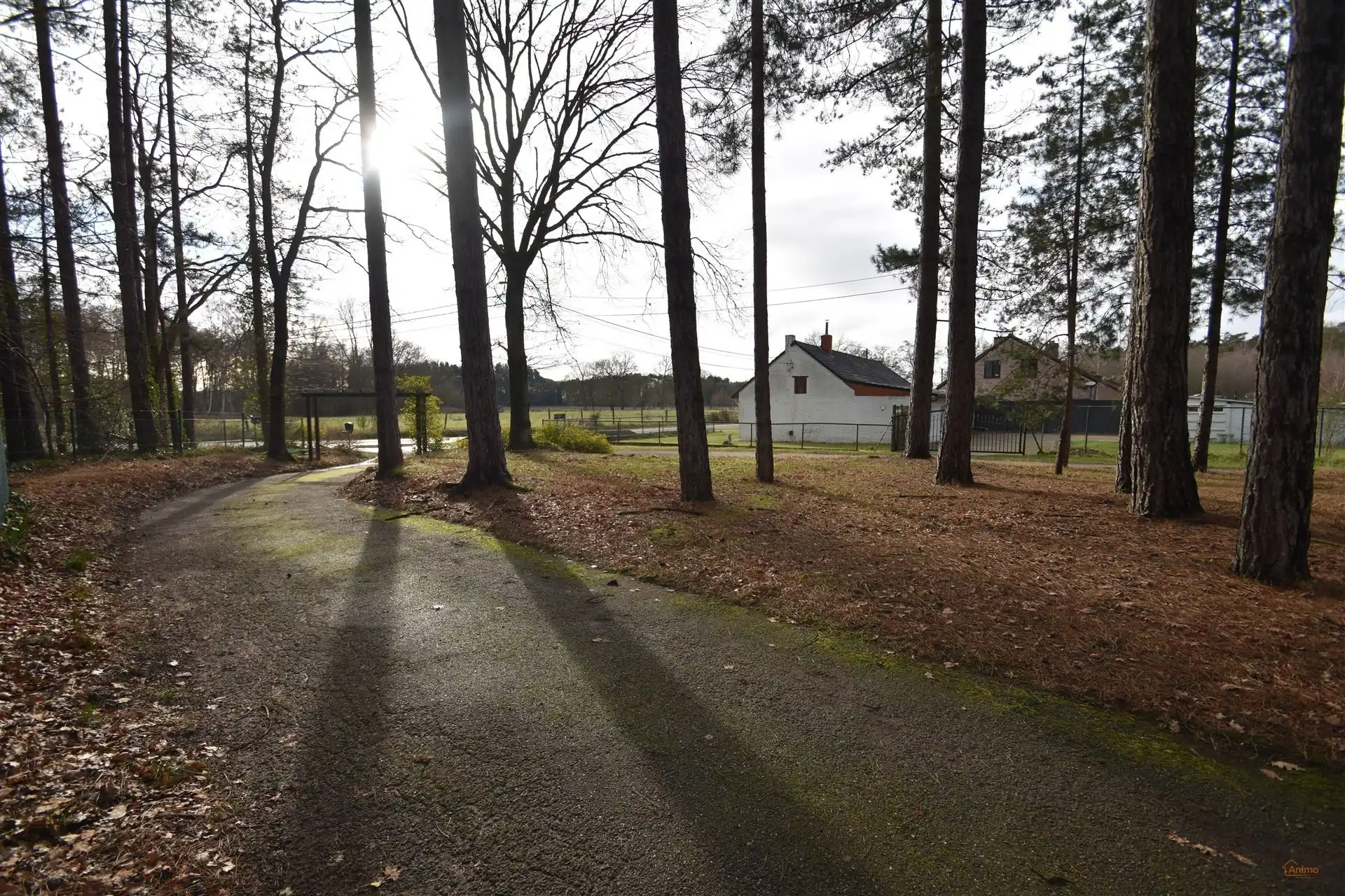 Gezellige woning met 2 Slaapkamers in Beverlo foto 8