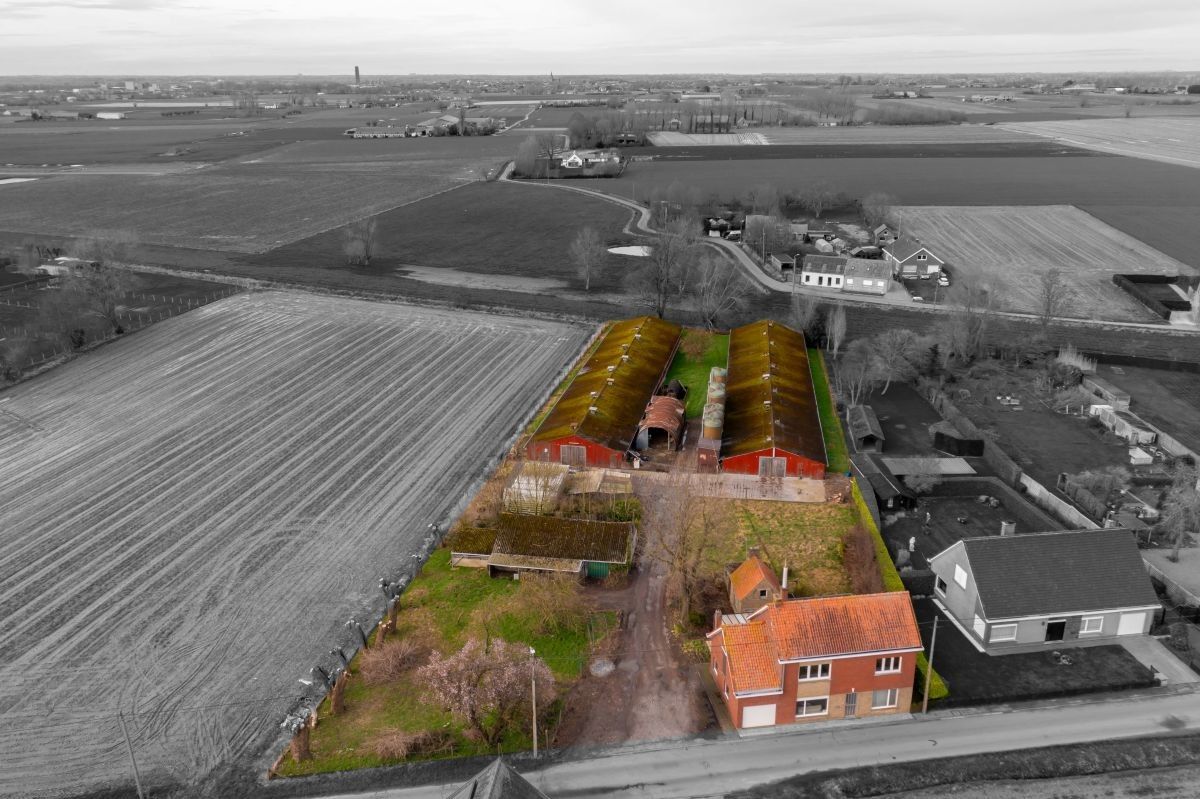 Hoofdfoto van de publicatie: Hoeve te koop met vergunde functiewijziging te Diksmuide