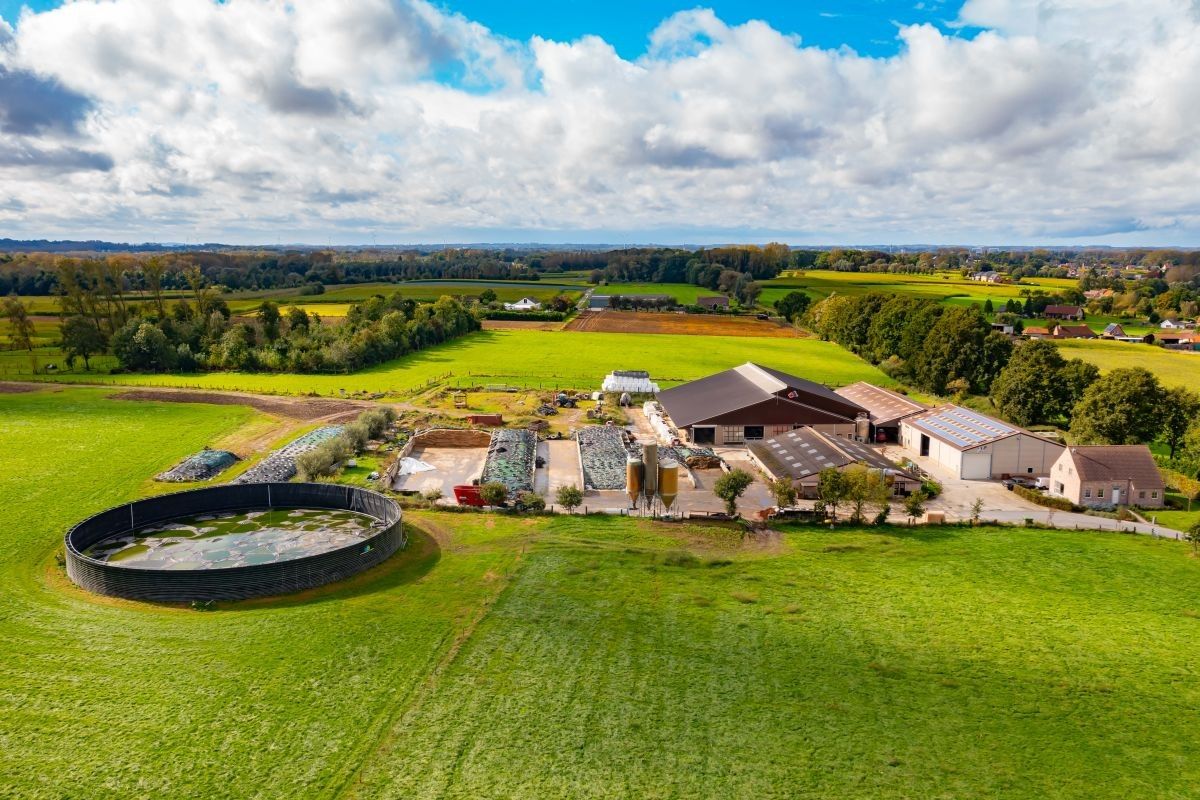 Hoogproductief melkveebedrijf te koop omgeving Aalst met circa 10 ha huiskavel foto 6