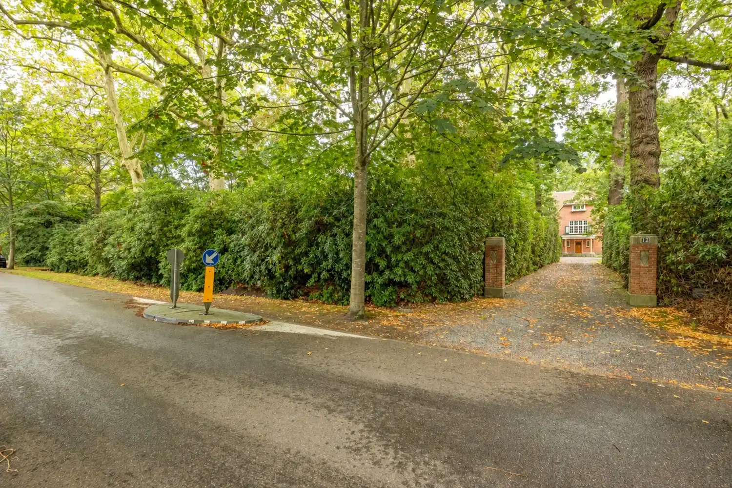 Karaktervolle te renoveren rietgedekte villa op een uitzonderlijk parkdomein van 13.670 m² in Vriesdonk (inclusief bouwgrond van ca. 4.543m²!) foto 5