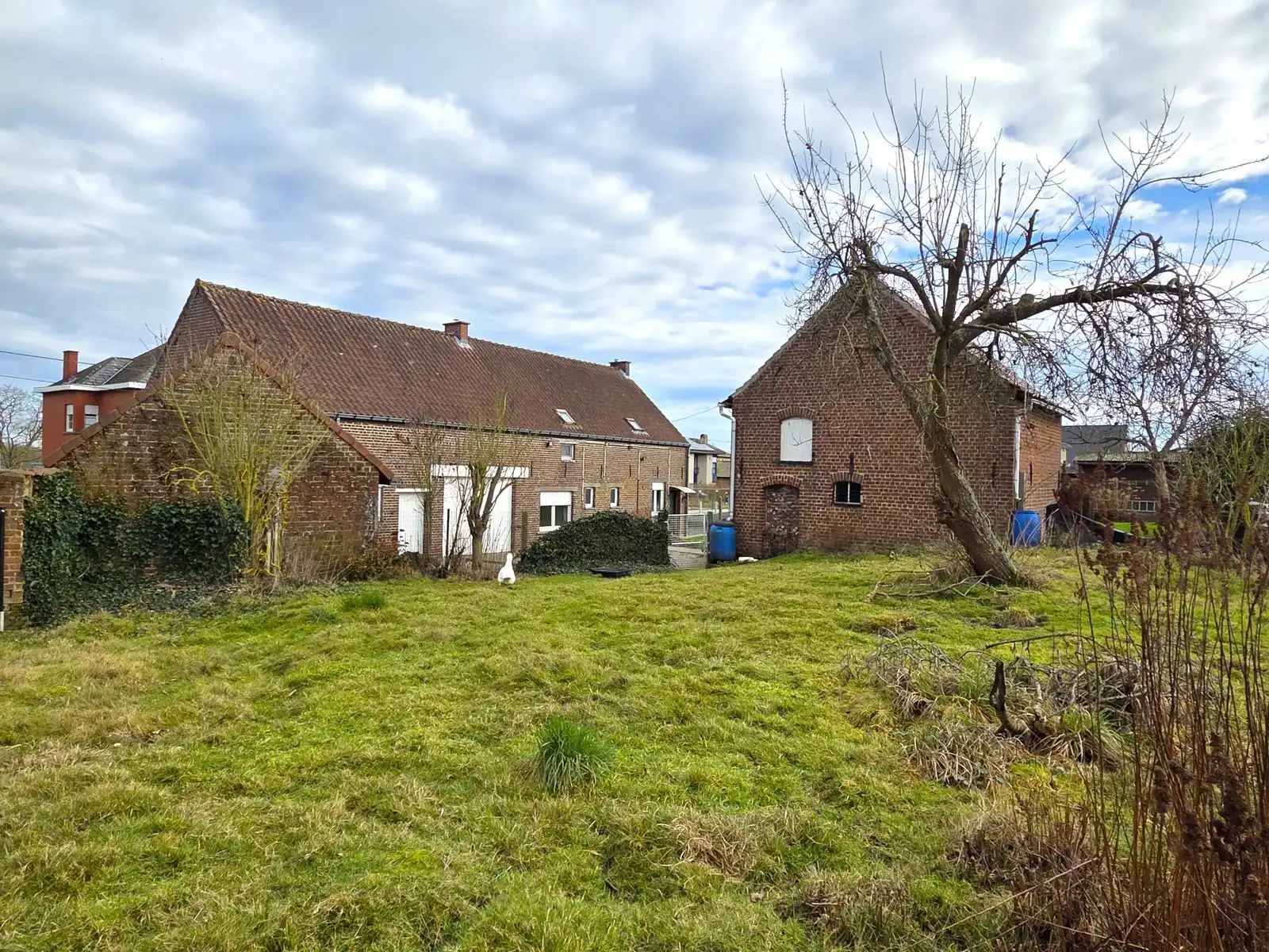 WSB-Immo: Charmante boerderijwoning met ruime garage en tuin foto 16