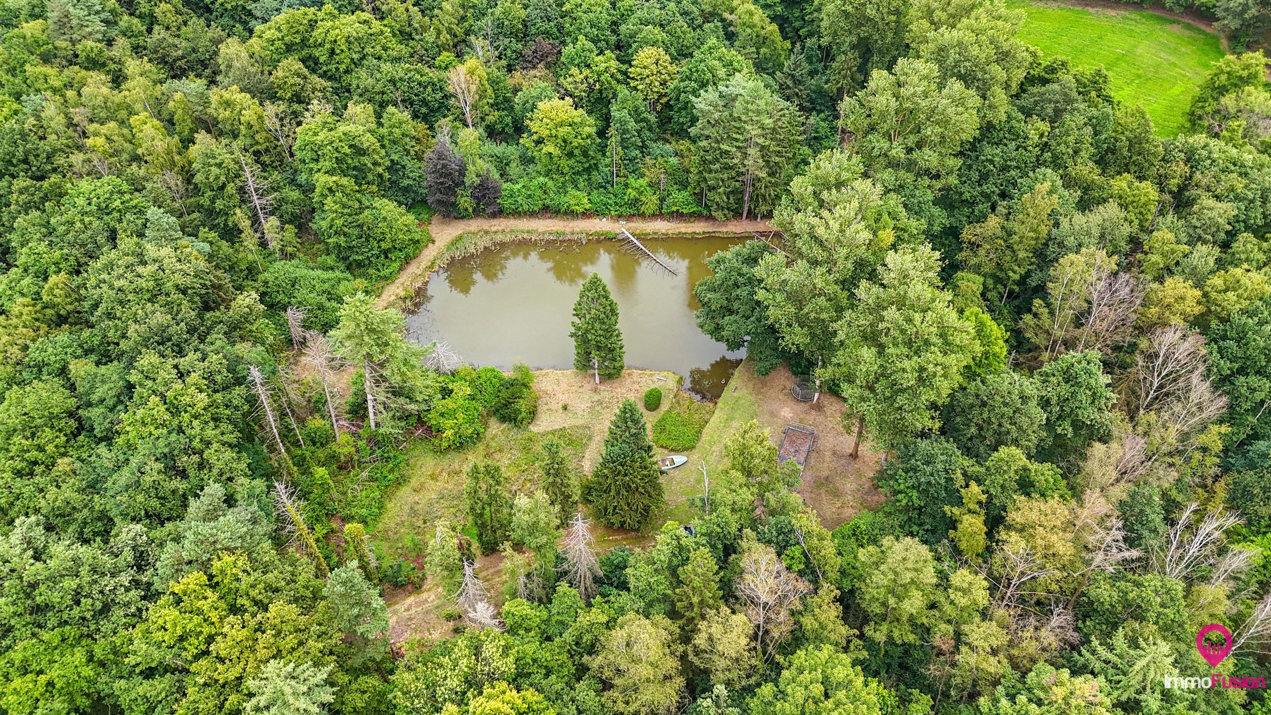 Droom buitenverblijf in Hasselt voor natuurliefhebbers!  foto 4