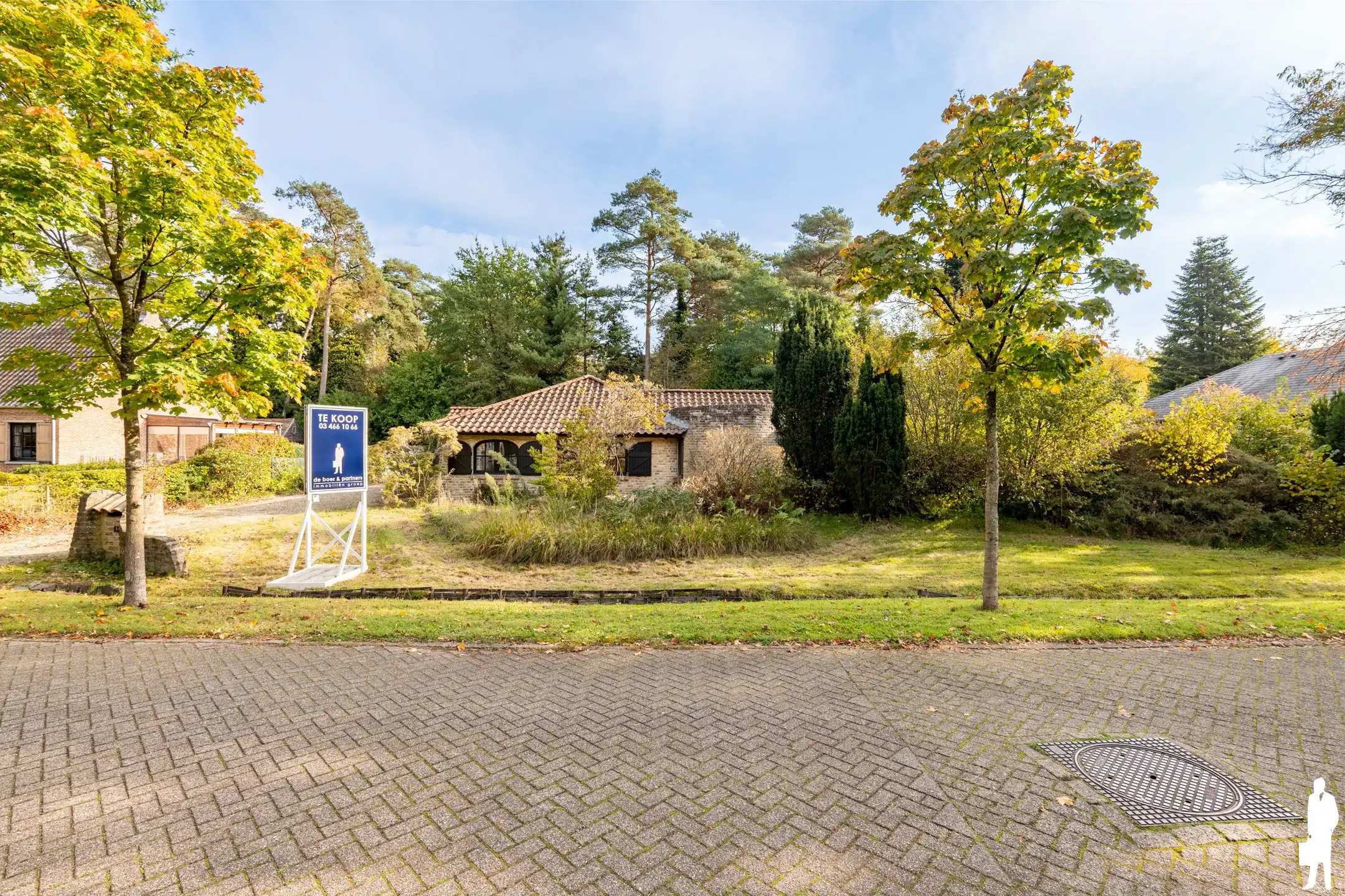 Gelijkvloerse villa met 4 slpk op toplocatie foto 3