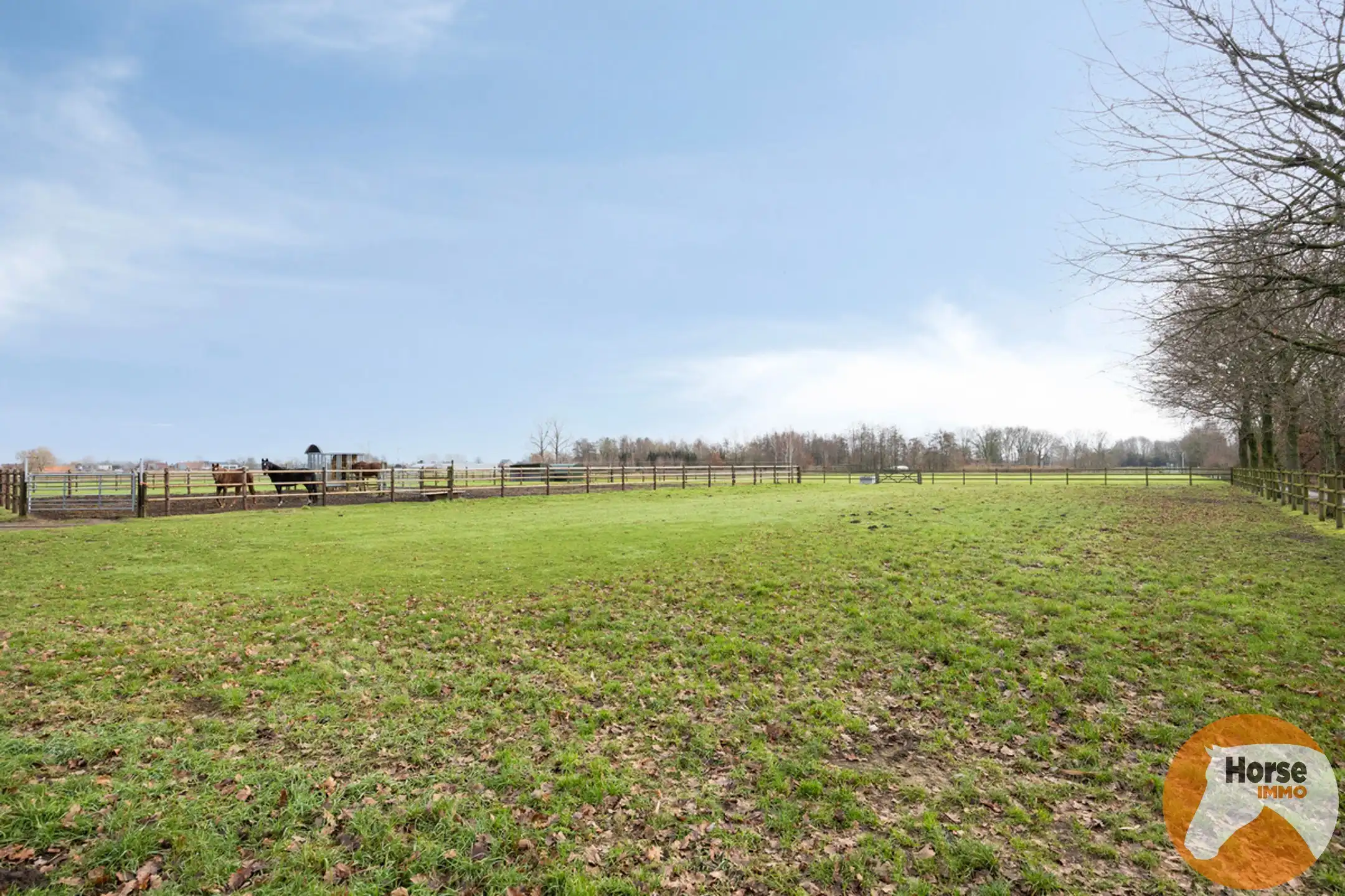 LOCHRISTI - Rustig gelegen stalgebouw op +- 2,3HA foto 13