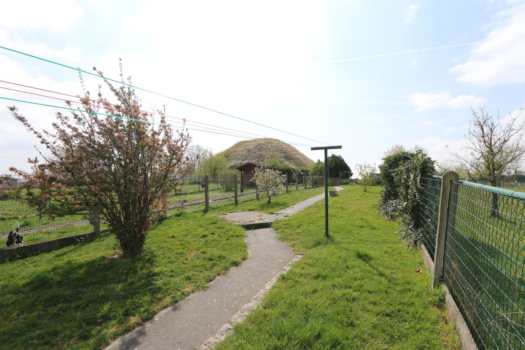 WONING - 2 tot 3 SLK - 2 BDK - GARAGE - TERRAS - TUIN - WEI foto 14