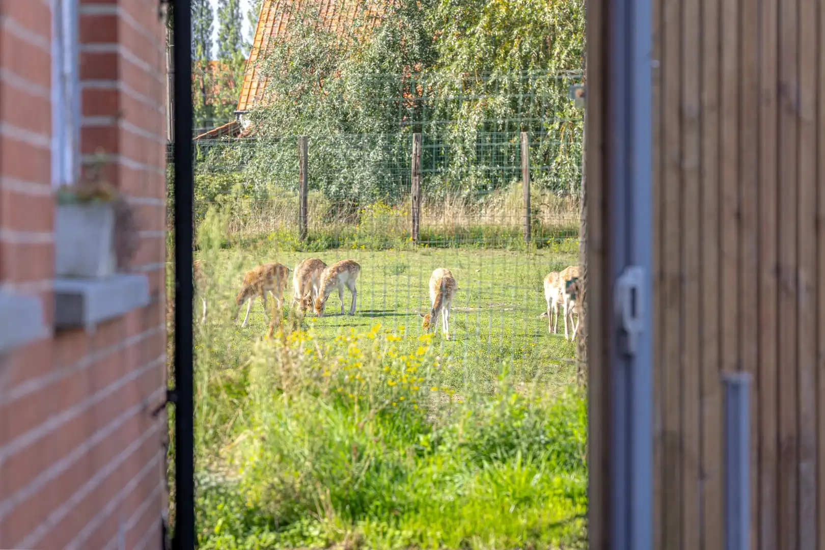 Ruime woning met 4 slaapkamers en dubbele garage op een landelijke ligging in Dadizele foto 18