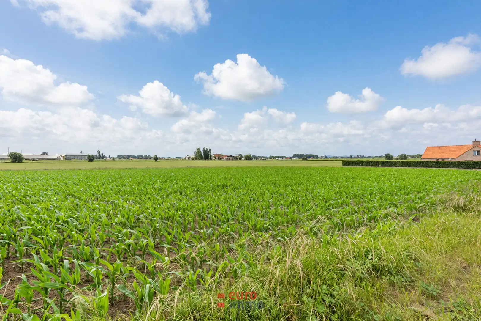 Exclusief gelegen bouwgrond aan de buitenrand van Ieper! foto 5