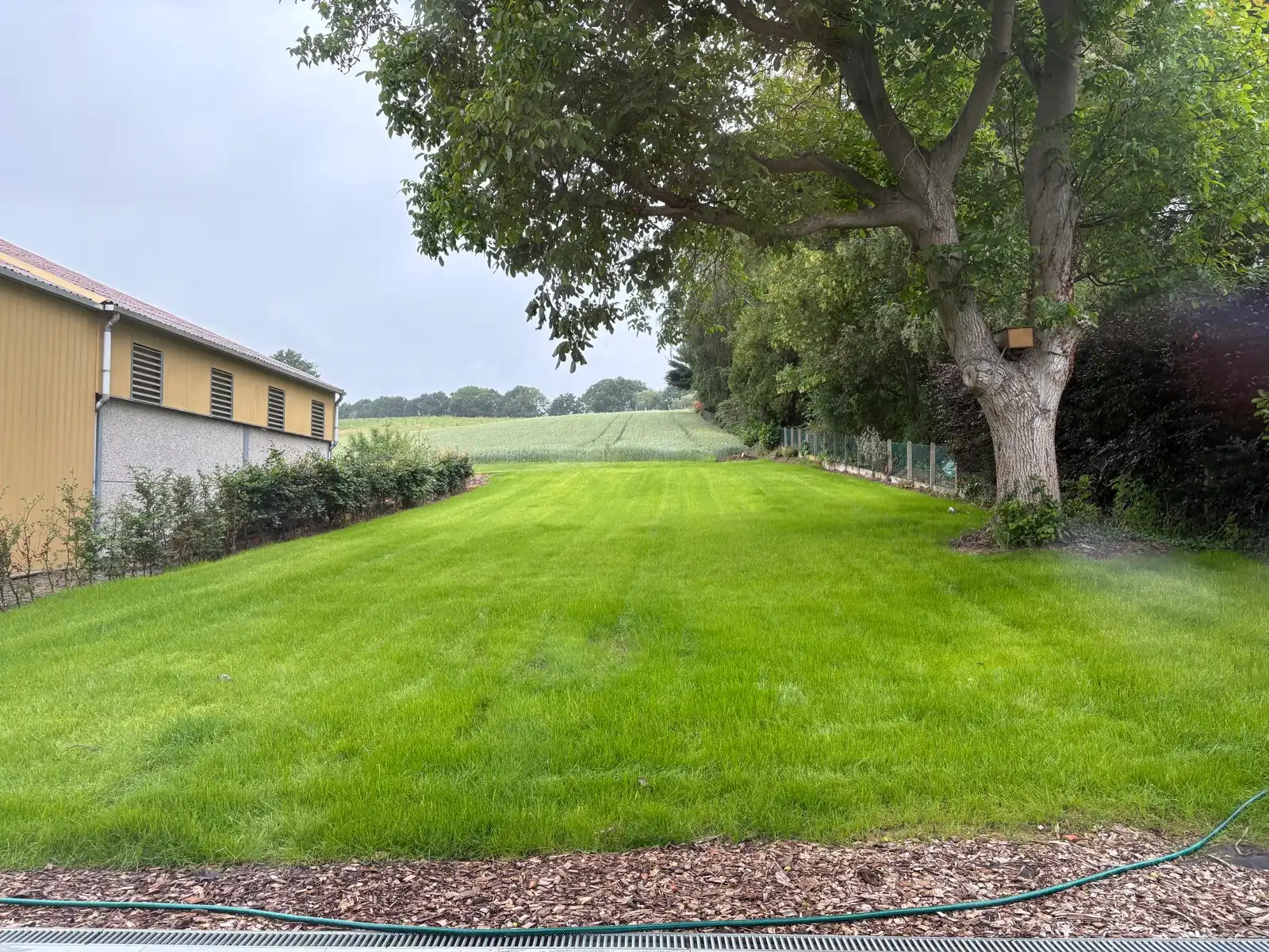Huis te huur foto 29