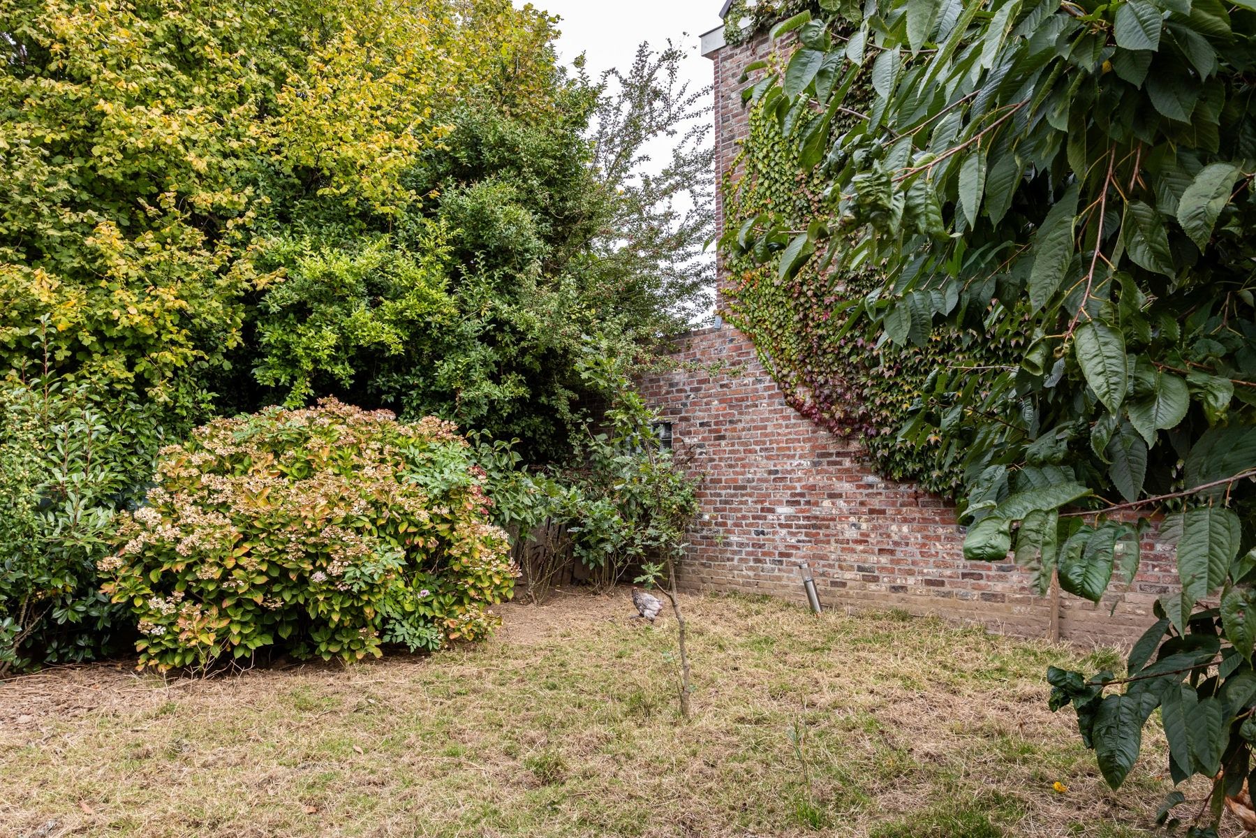 Woning met 3 garages en mogelijkheid tot verkaveling foto 21