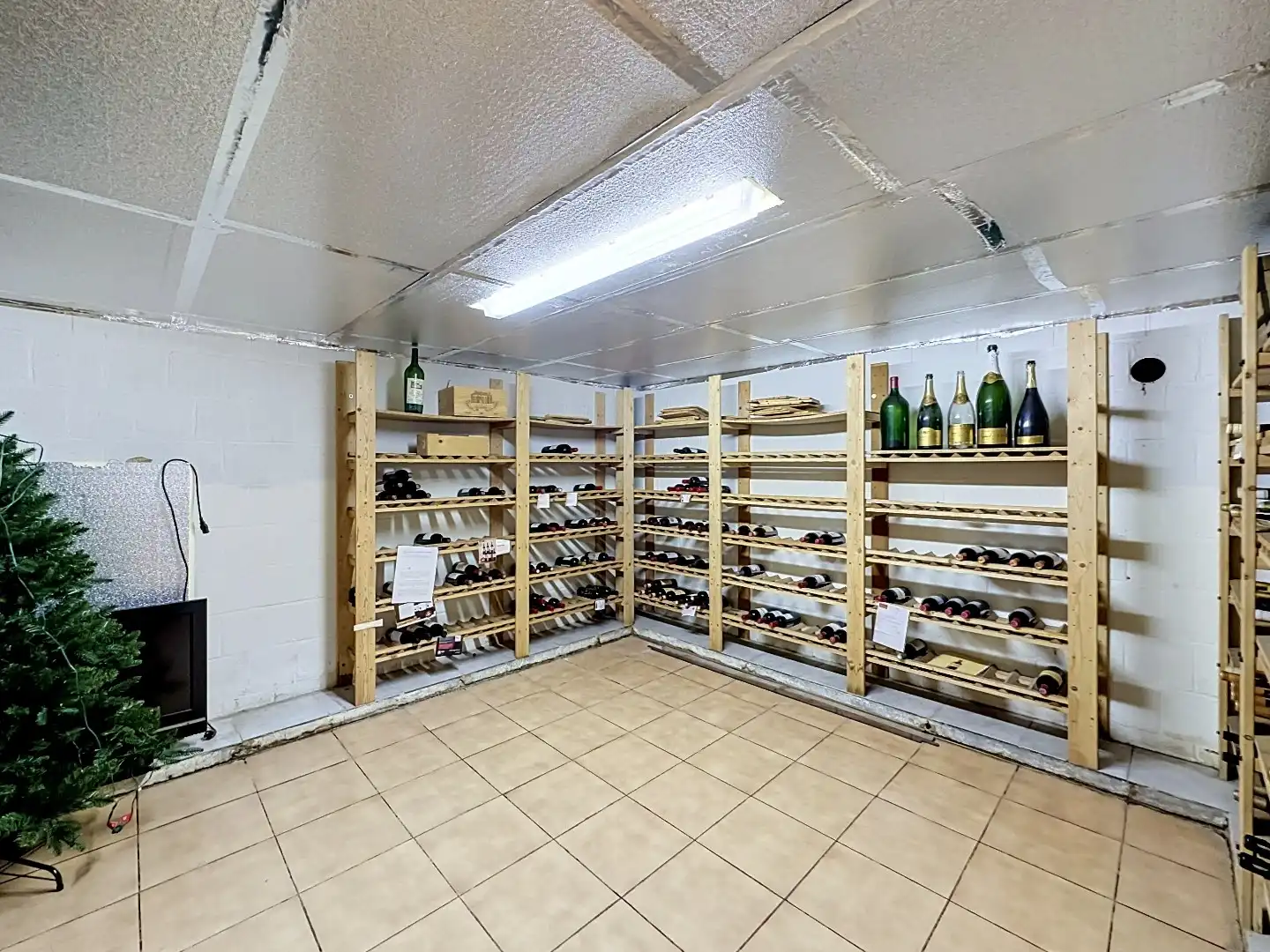 Instapklare, vrijstaande woning op een prachtig perceel van 17 are foto 25