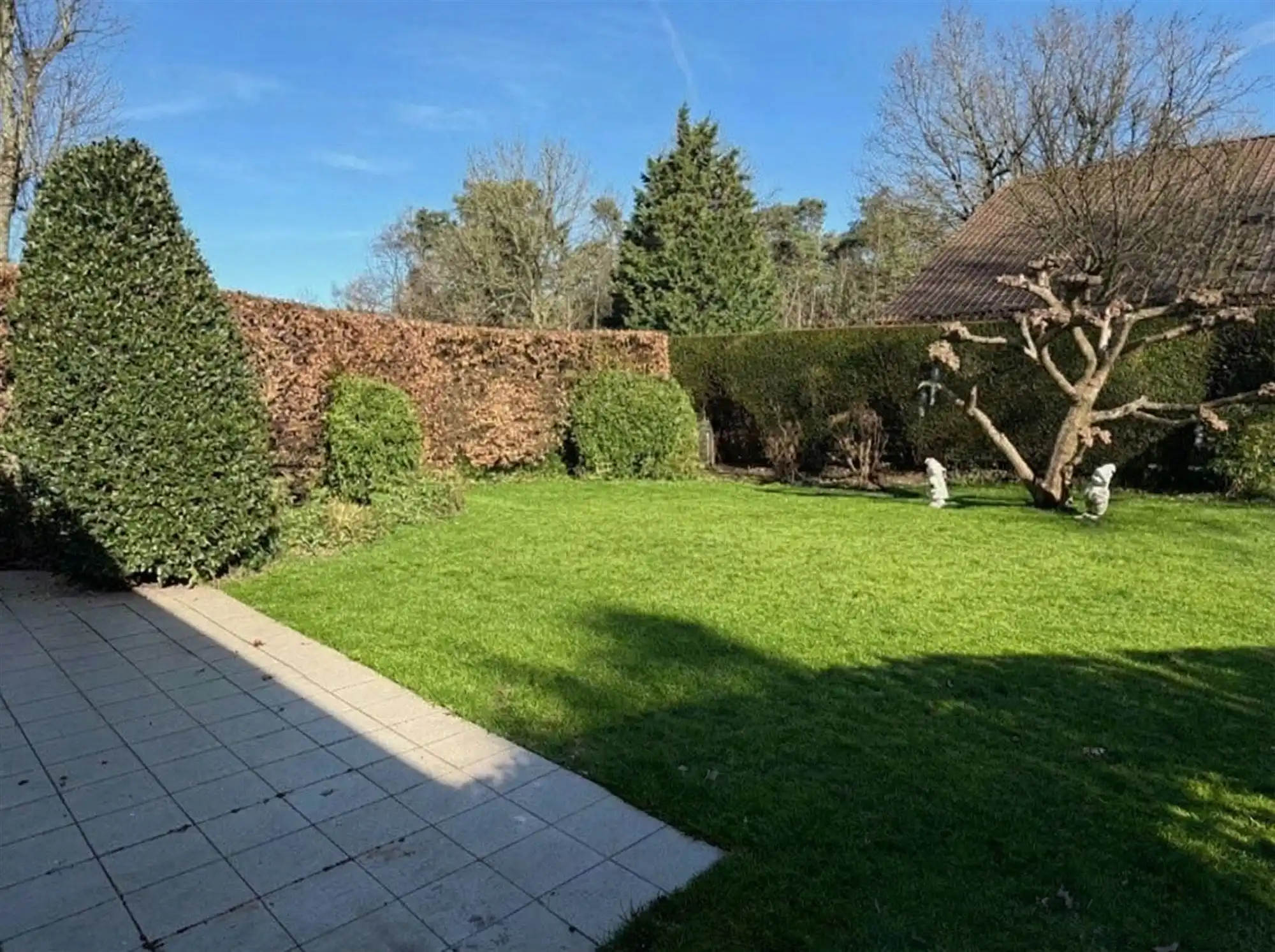 Prachtige ruime woning met tuin in het centrum van de Heide foto 7