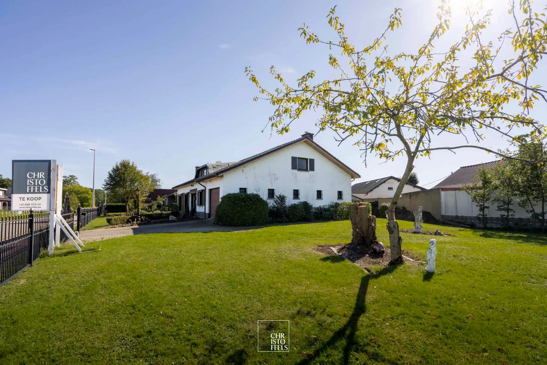 Ruim perceel (1.257 m²) met (ver)bouwpotentieel in het groene Zutendaal! foto 7