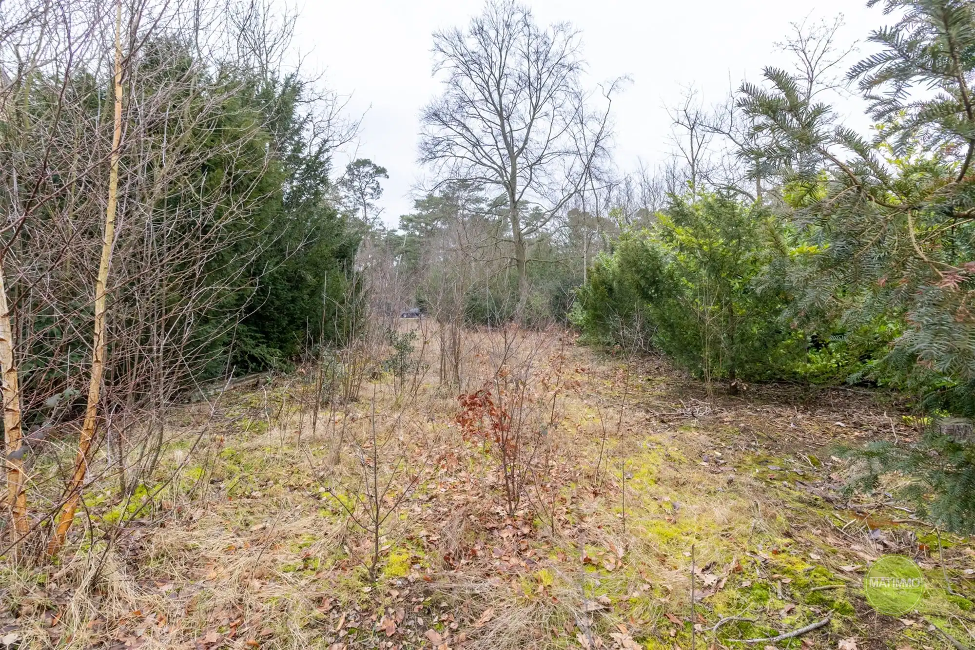 Ruime bouwgrond voor open bebouwing in het groene Mol-Rauw  foto 7
