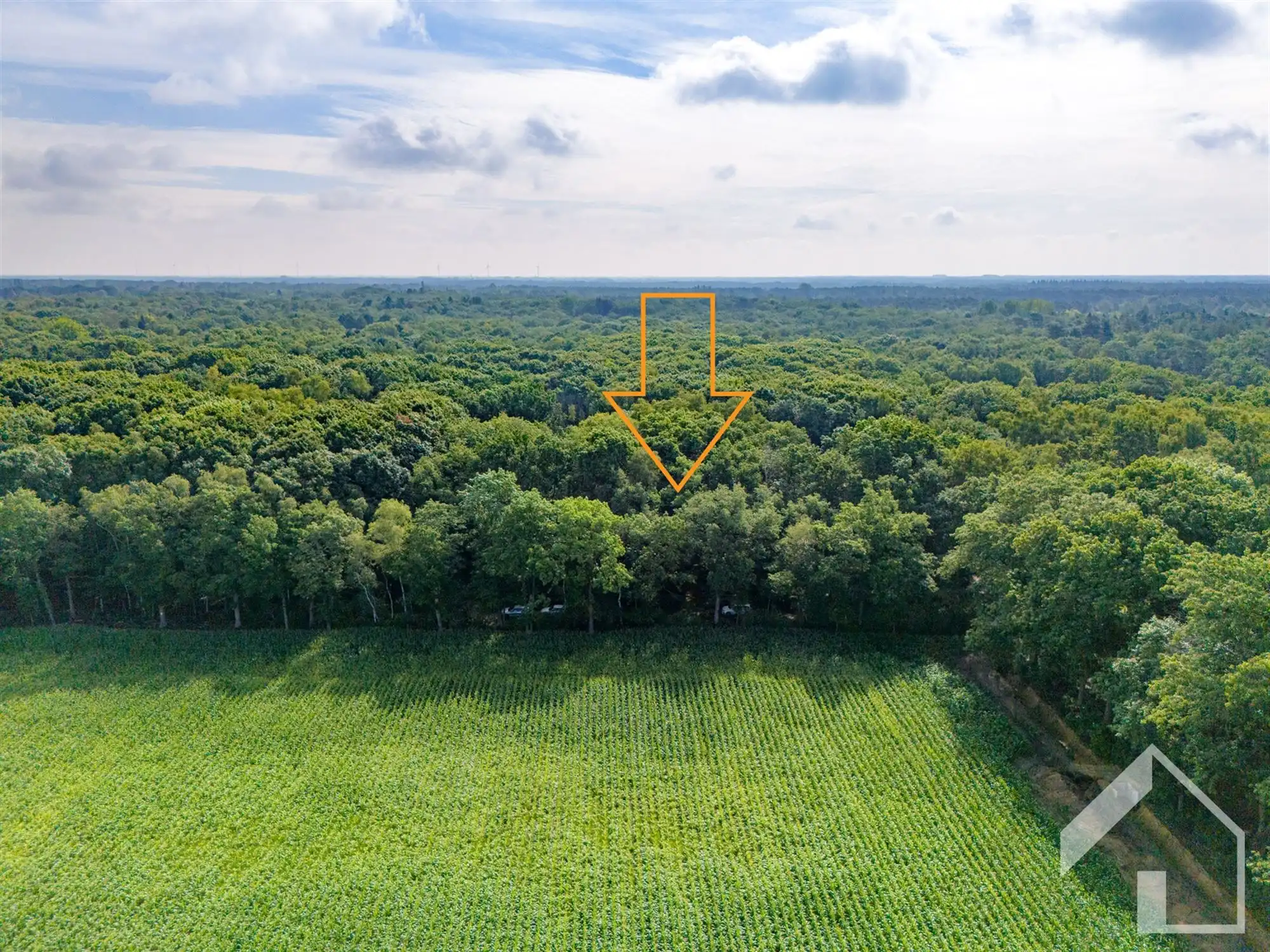 Recreatiegrond in het groen foto 14