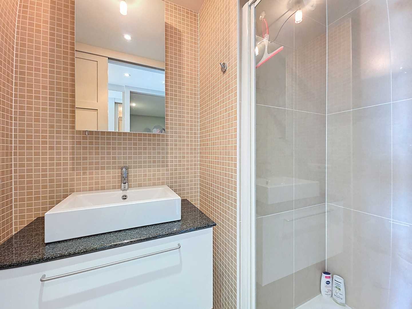Instapklaar appartement met frontaal zeezicht te Nieuwpoort-Bad foto 8