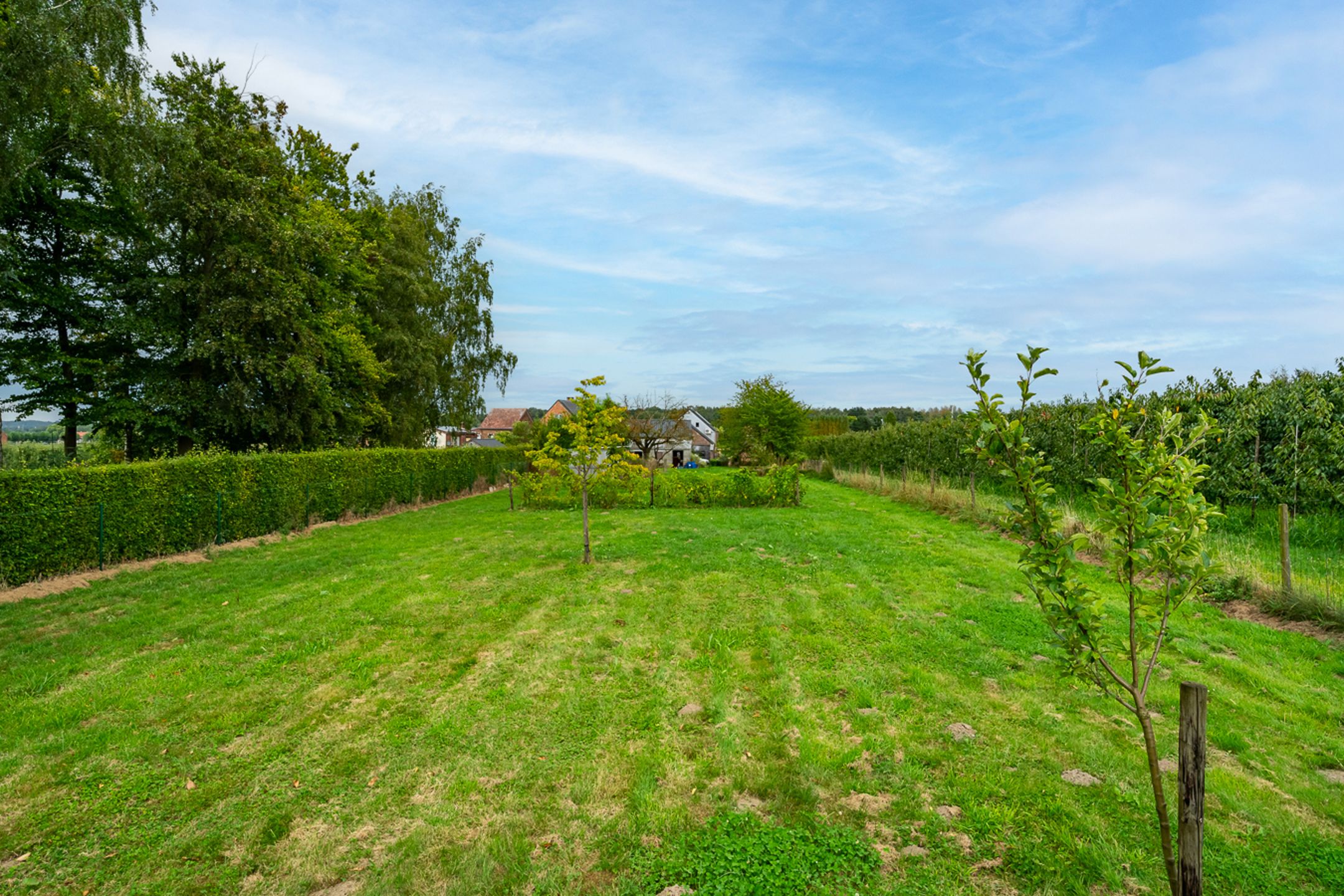 Uitzonderlijke hoevewoning op prachtig perceel foto 36