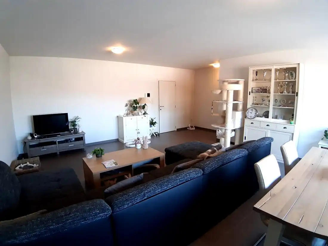 Moderne rijwoning te Zonhoven foto 4