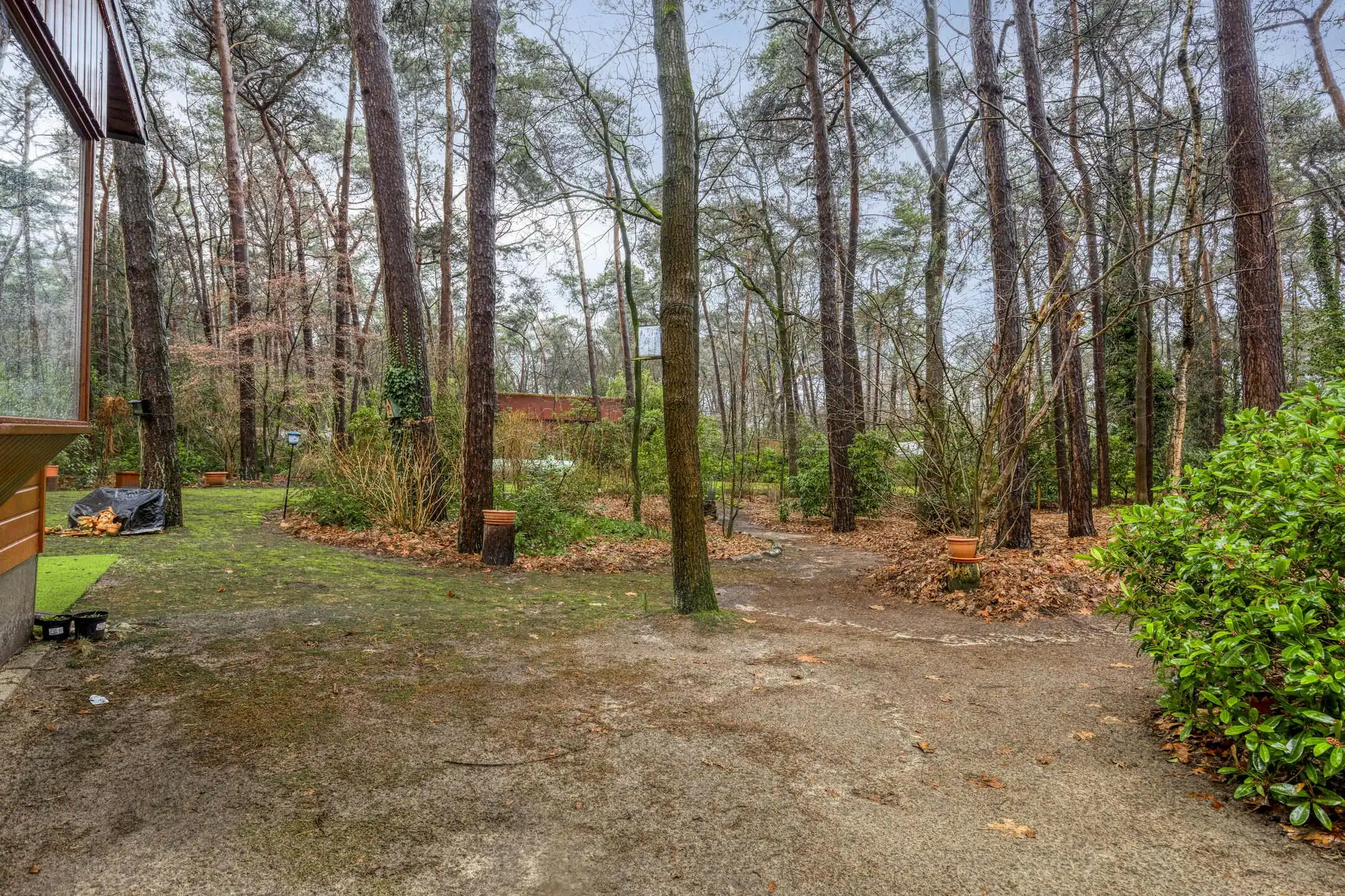 Verzorgde woning op prachtige bosgrond te koop in Wuustwezel foto 31