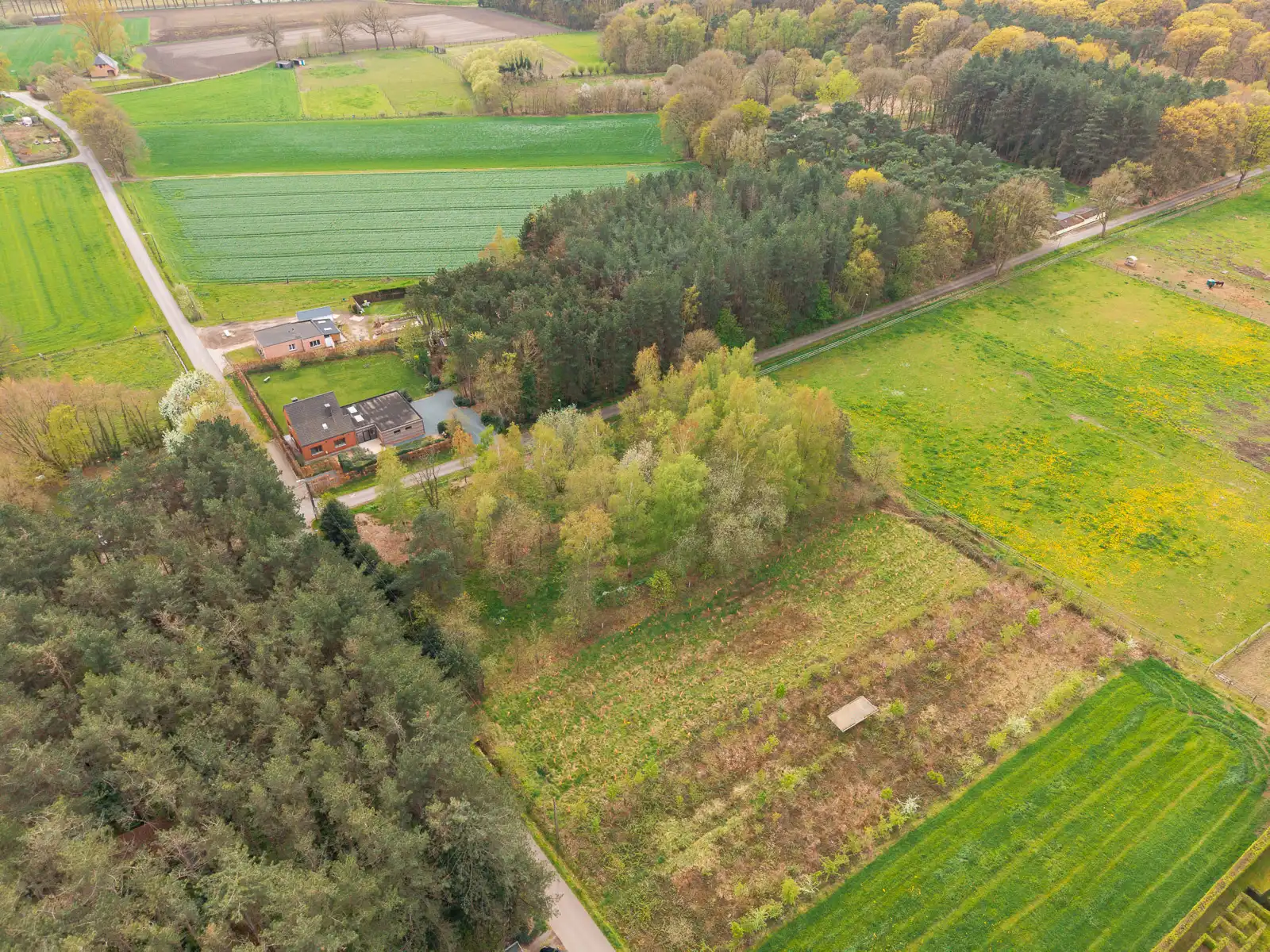 Prachtige landbouwgrond van 3826 m² gelegen in oase van rust foto 3
