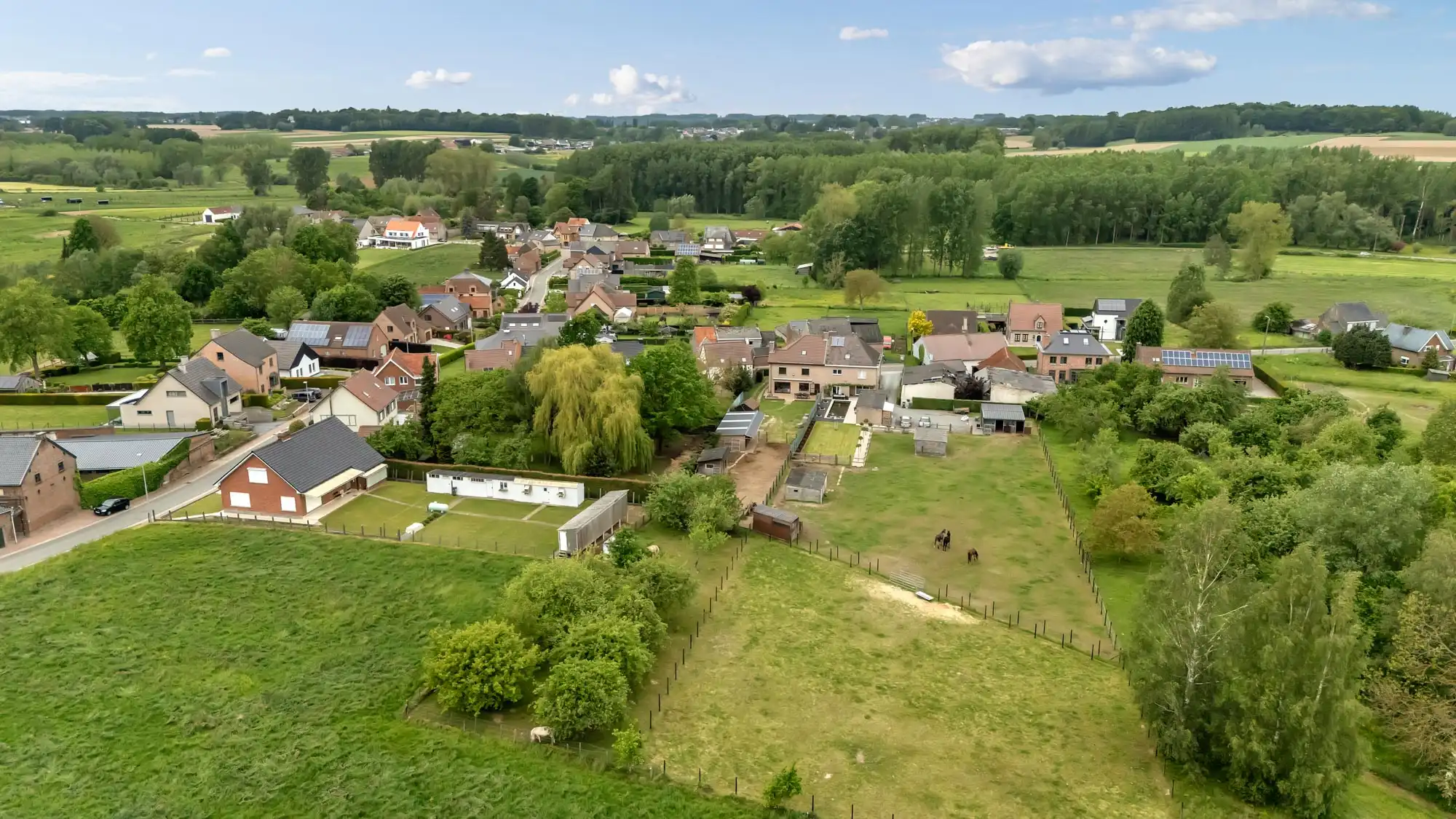Landelijk wonen met ruimte voor dieren en boomgaard op 18a45 foto 29