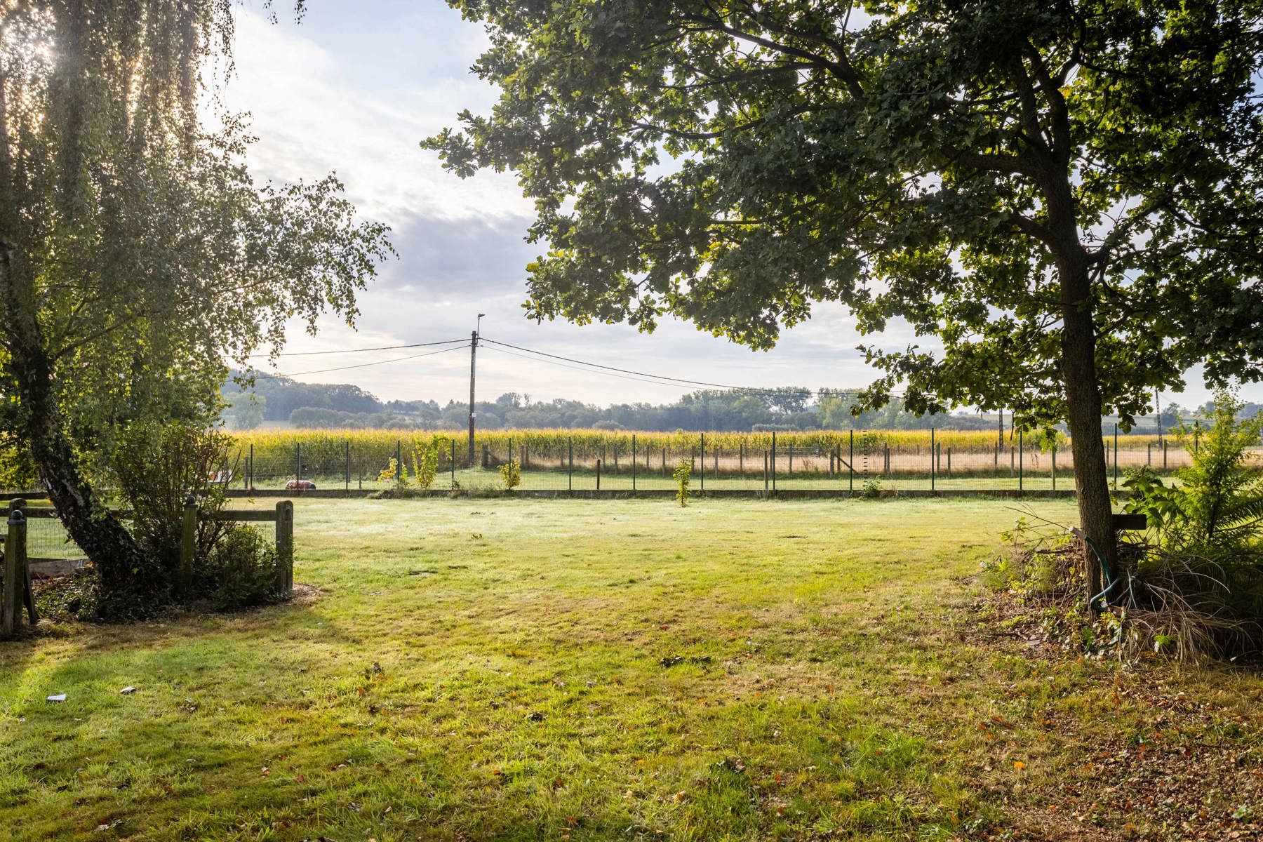 Ruime open bebouwing op rustige locatie foto 28