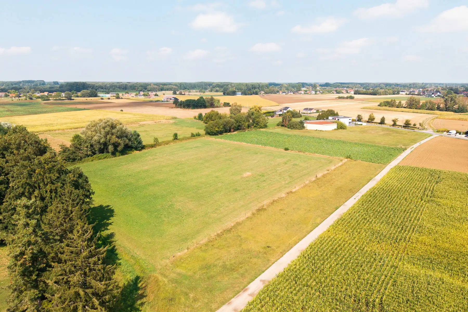 Ruim perceel landbouwgrond van 50are te Kampenhout foto 2