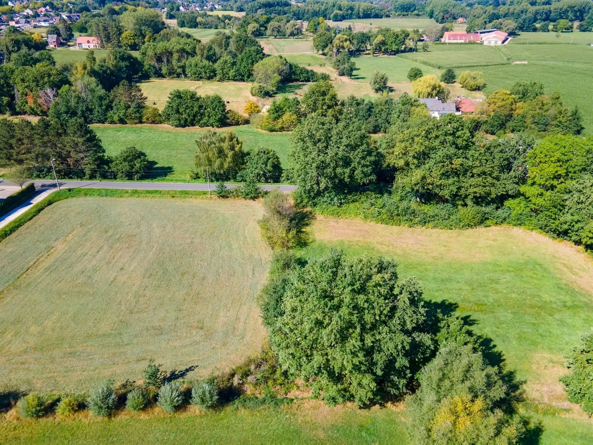 Perceel landbouwgrond te Beerzel - opp. 2547 m² foto 2