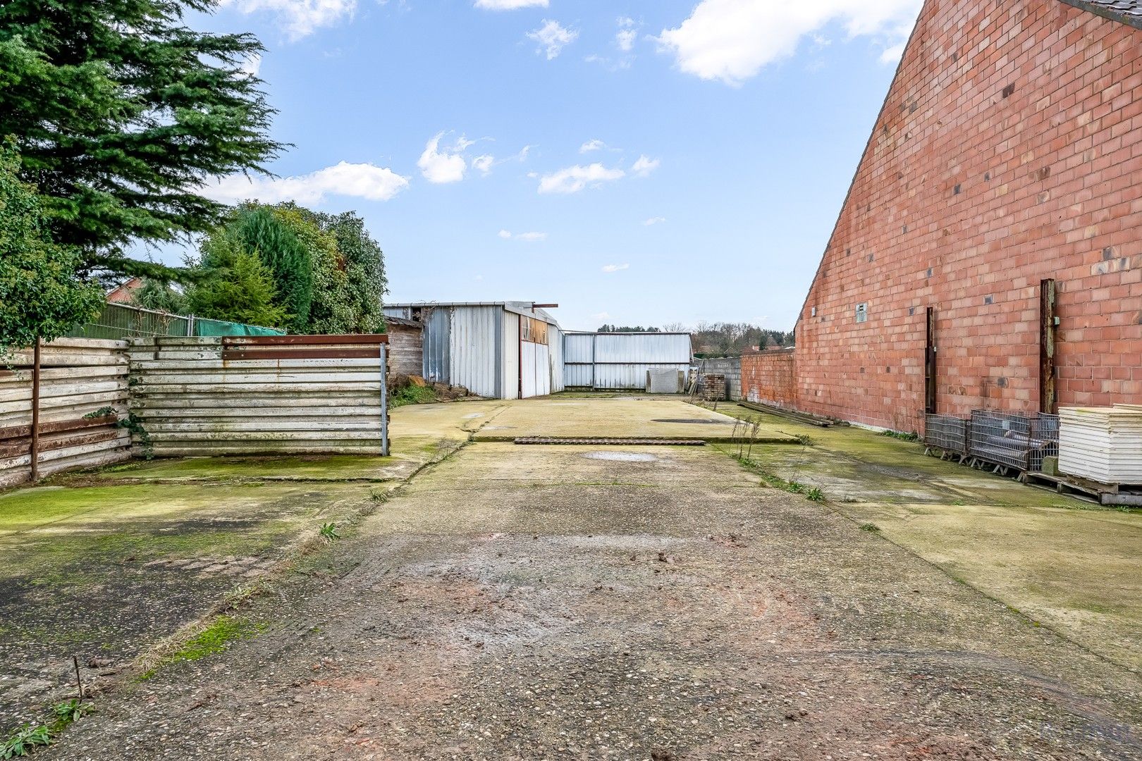 Handelspand met woonst of projectgrond te koop in Scherpenheuvel-Zichem foto 22