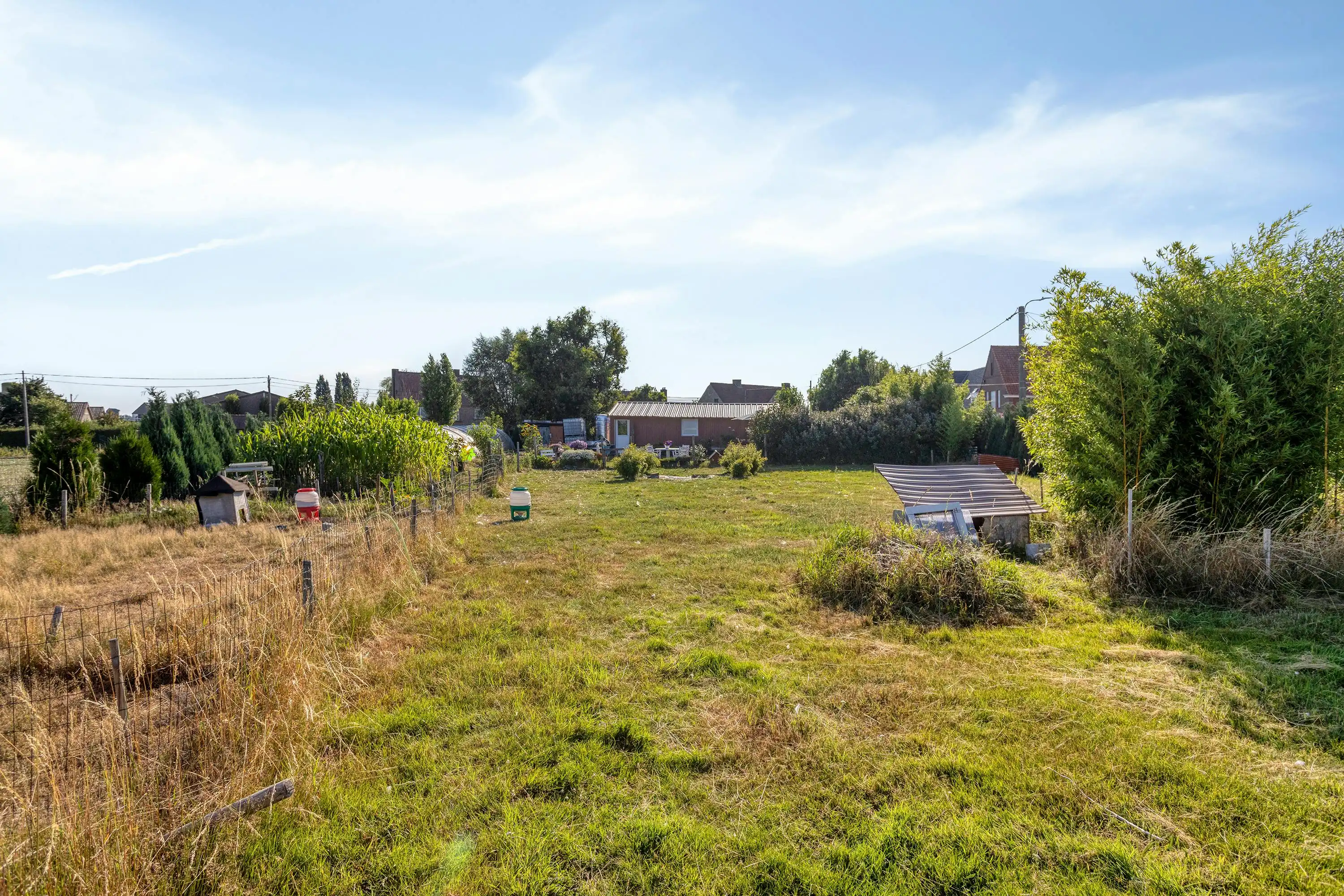Landgebouw te koop, wonen niet mogelijk!  foto 5