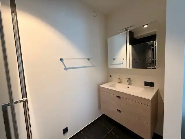 Nieuwbouwappartement met 1 slaapkamer, terras en autostandplaats te Maasmechelen. foto 14