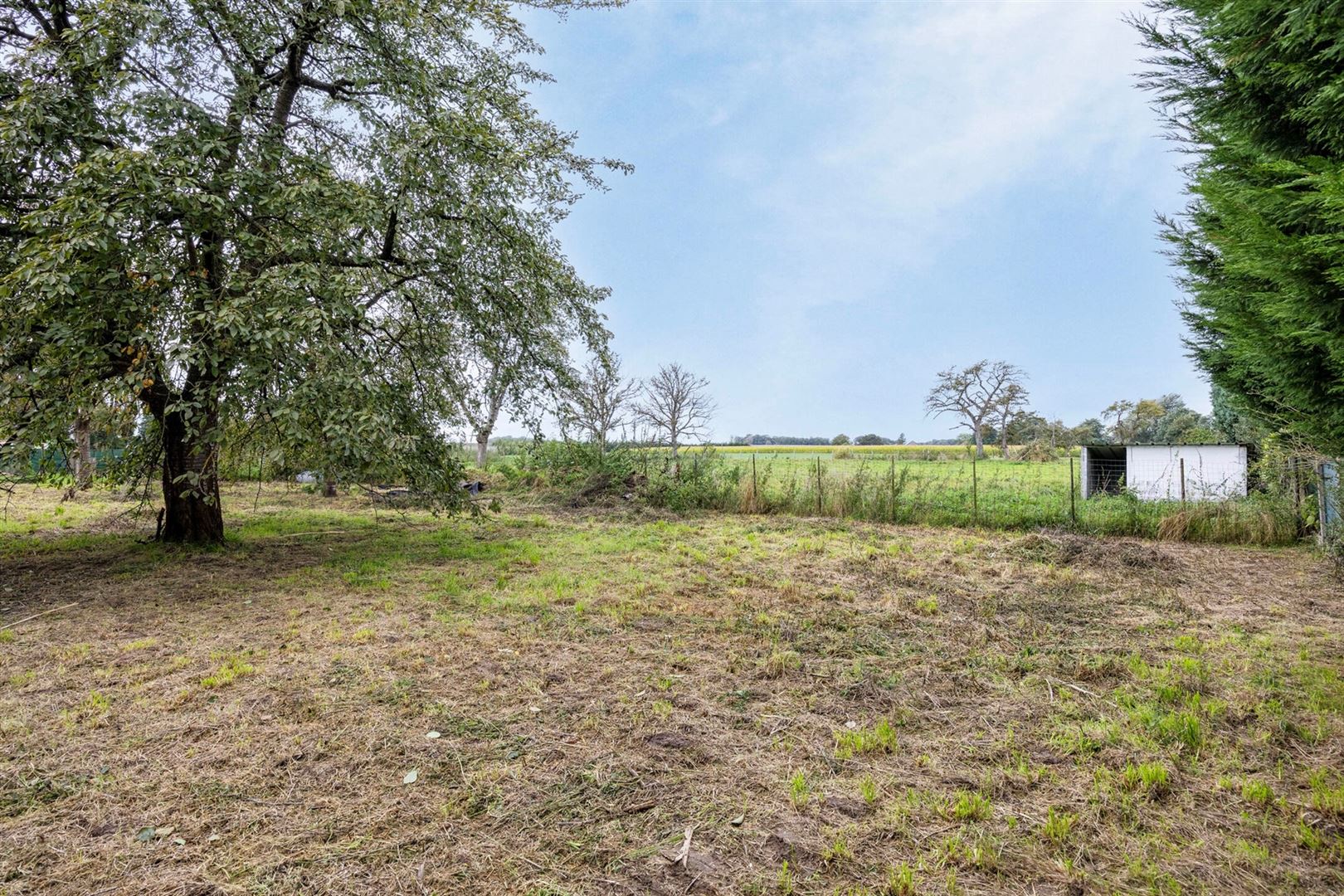 Landelijke woning met 4 slaapkamers met ruime tuin foto 36