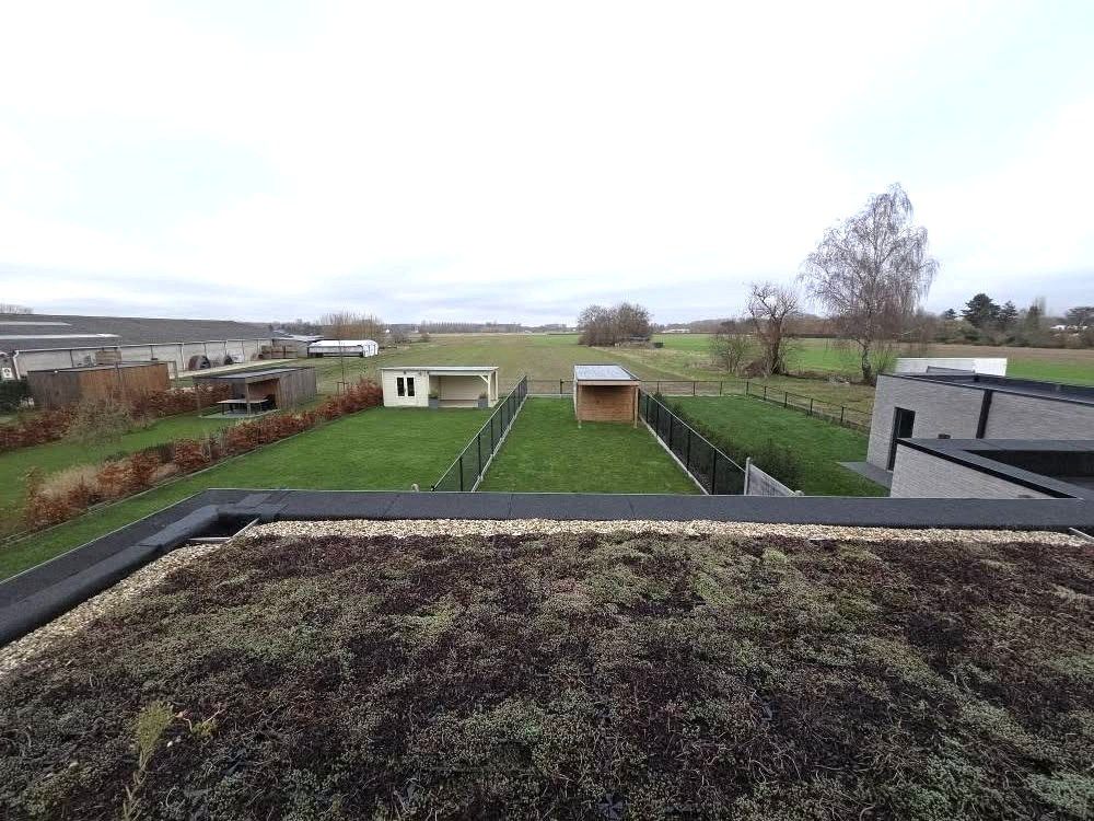 What a feeling (Irene Cara)... foto 18