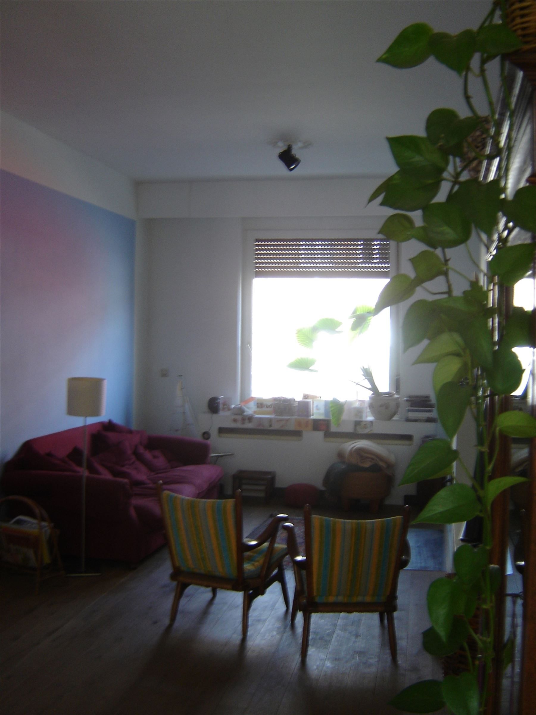 Huis foto 3