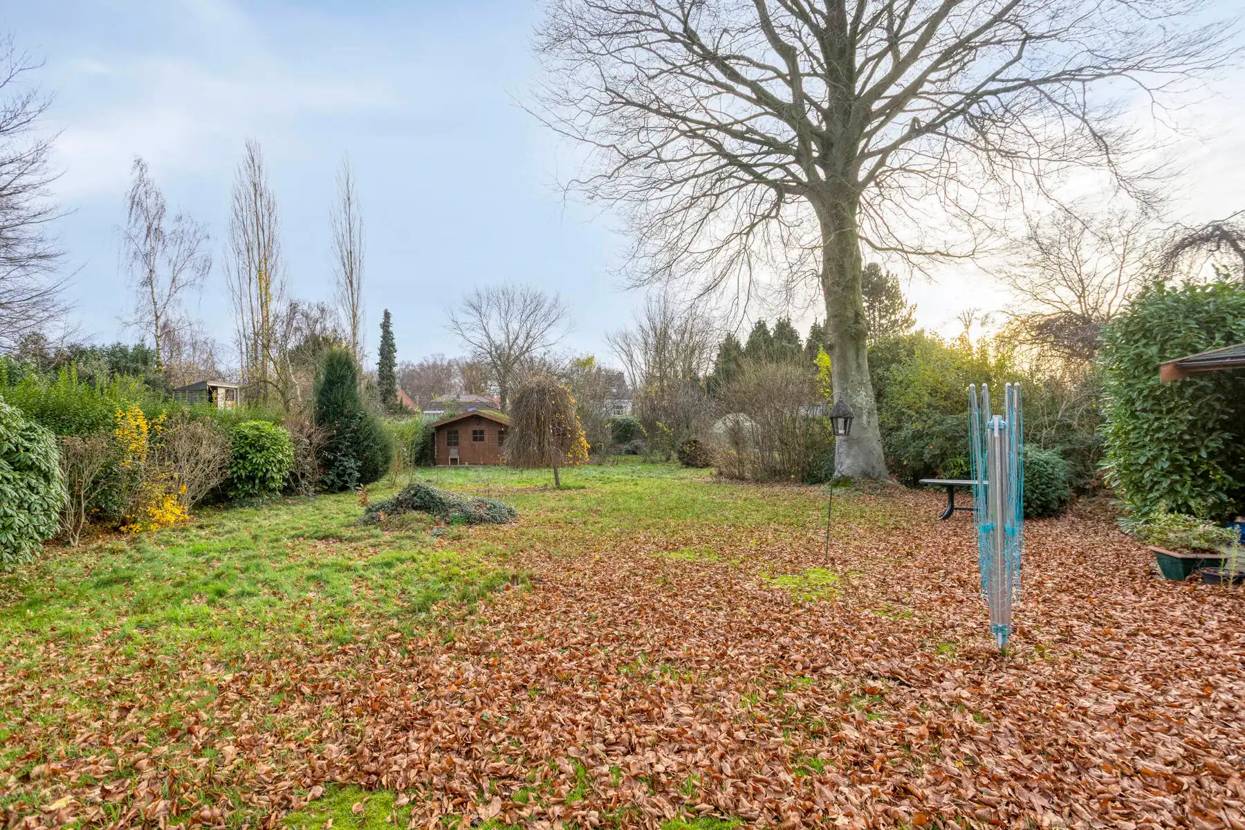 Te renoveren 4-gevelwoning op prachtig perceel foto 12