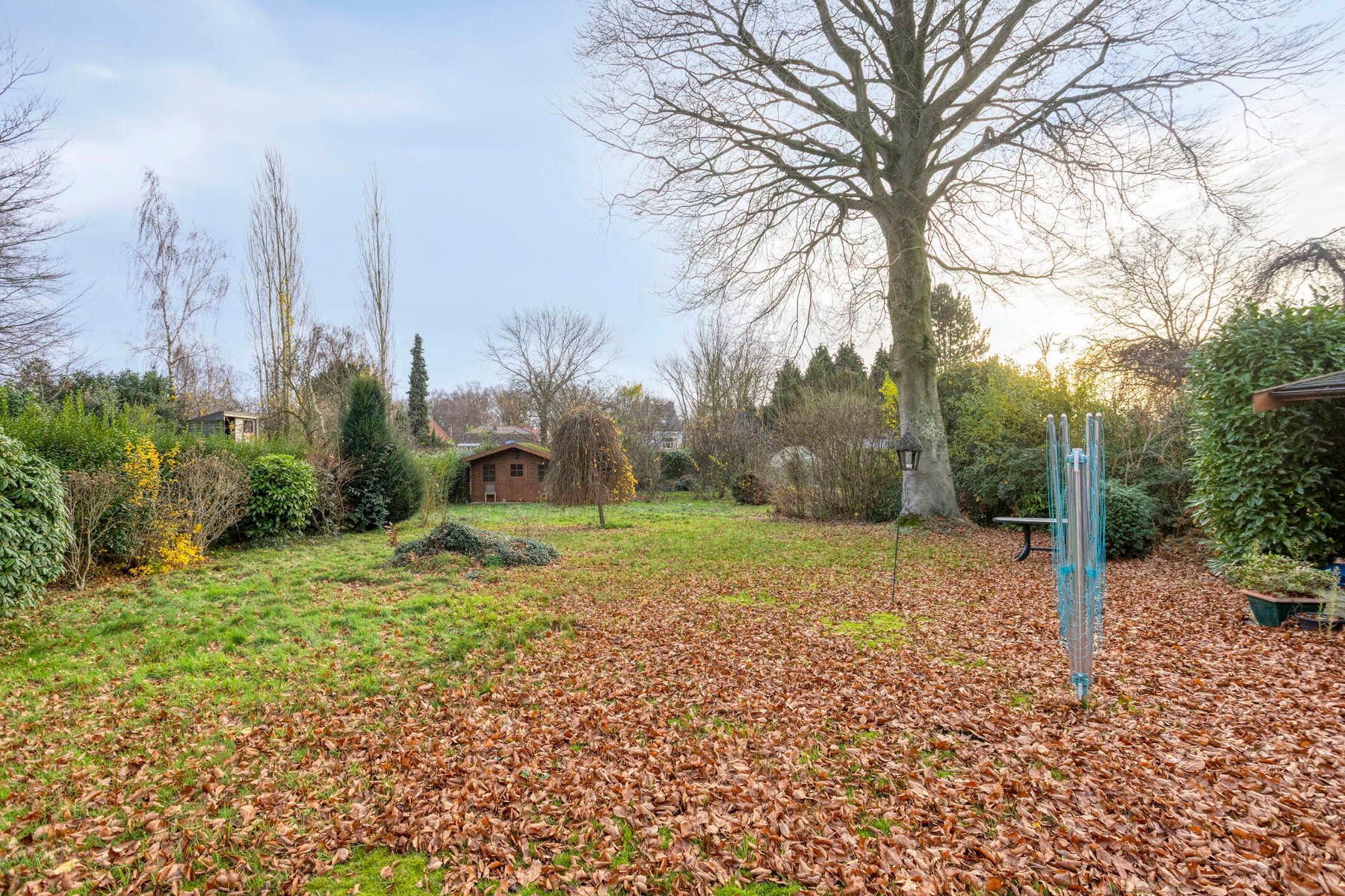 Te renoveren 4-gevelwoning op prachtig perceel foto 12