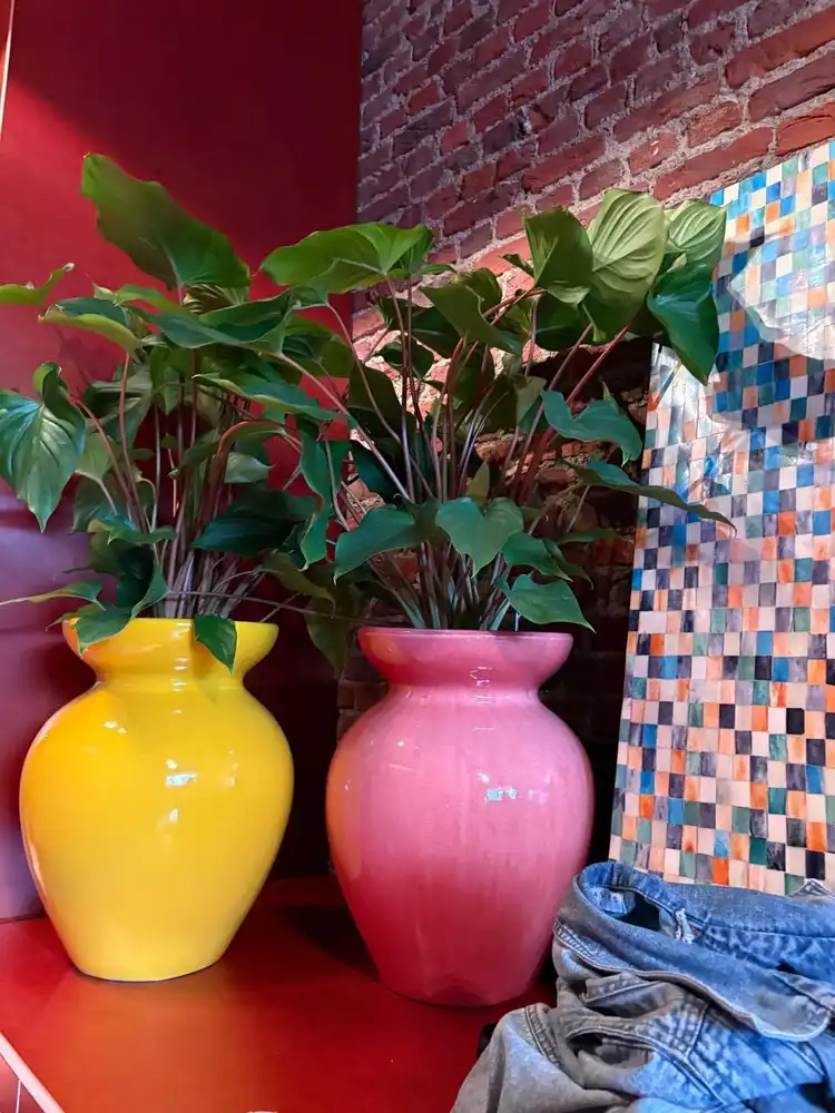 Karaktervolle erfgoedwoning op topligging tegenover de Sint-Gummaruskerk. foto 66