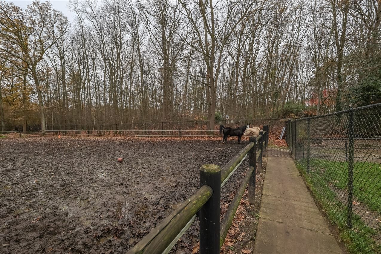 Rustig gelegen woning met weiland en stallen foto 28